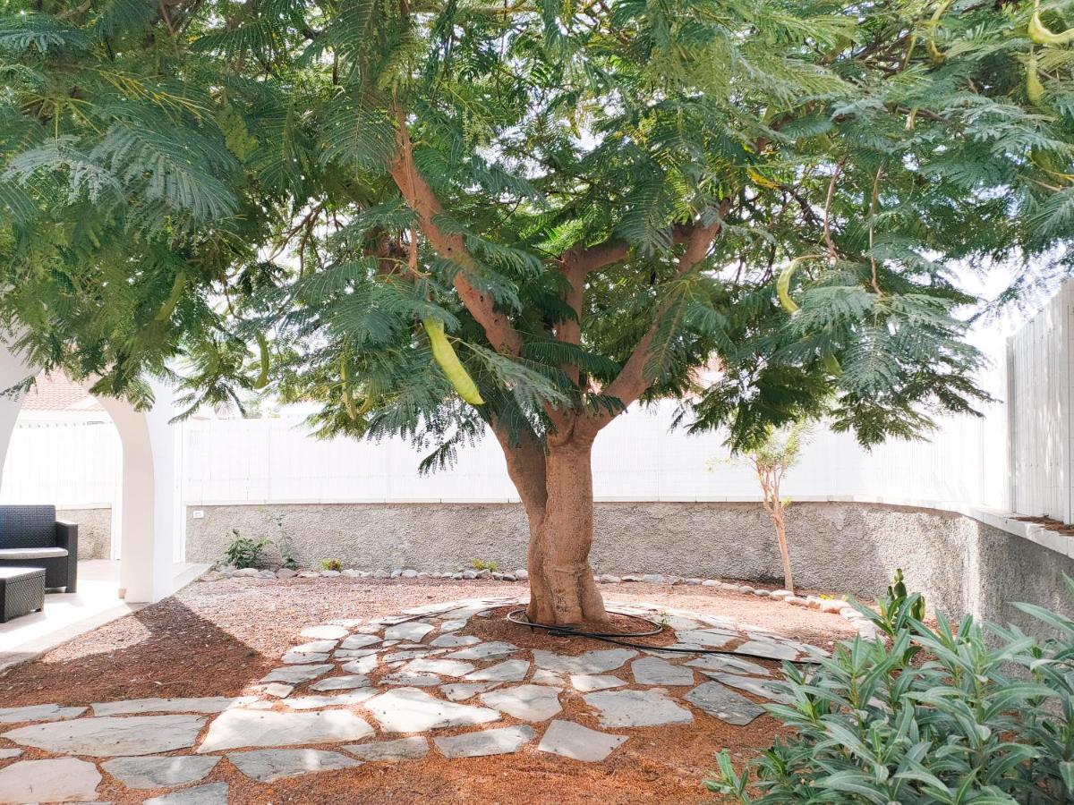 Pretty Terrace Holiday House In Maspalomas Playa del Inglés Exterior foto